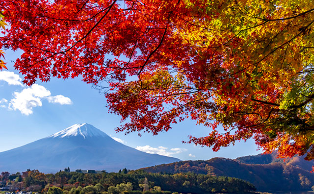 もみじトンネルから見る富士山