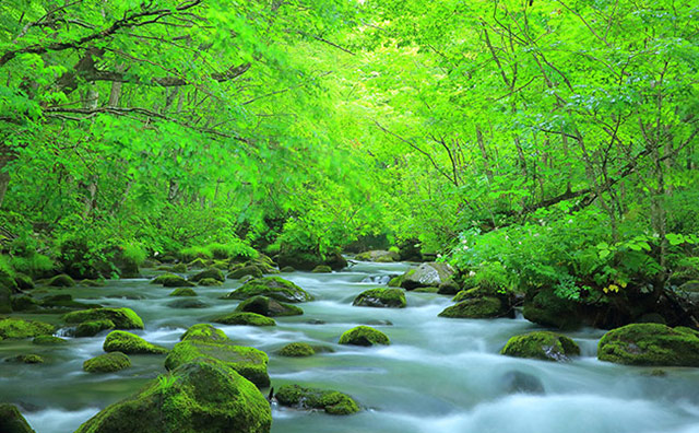 車なしで行く東北旅行2泊3日の観光モデルコース【青森・岩手】【山形・宮城】
