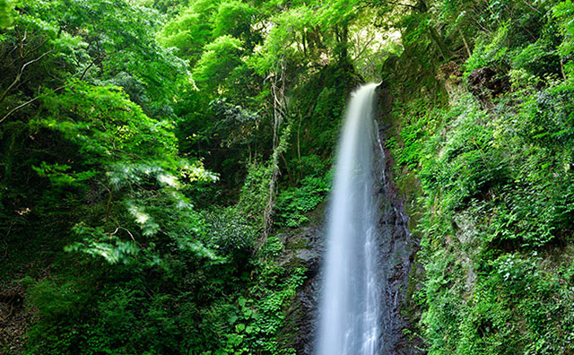  温泉に滝にお城まで！岐阜県の観光地や楽しみ方を紹介