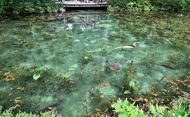  温泉に滝にお城まで！岐阜県の観光地や楽しみ方を紹介