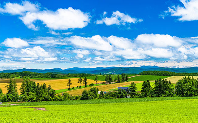 【2024年】壮大な自然とグルメが魅力　北海道の観光スポット