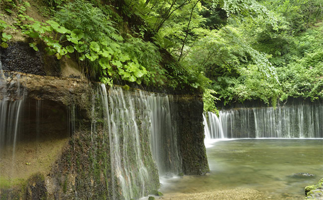 白糸の滝