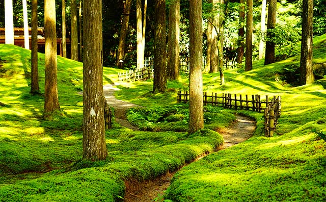 苔の里（叡智の杜）