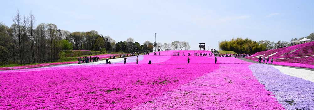 【2025年】ゴールデンウィーク旅行の穴場は？人混みを避けて楽しめるスポット16選