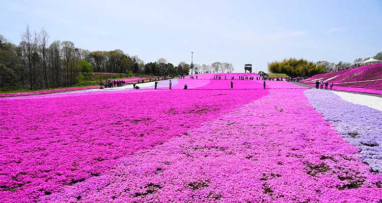 【2025年】ゴールデンウィーク旅行の穴場は？人混みを避けて楽しめるスポット16選