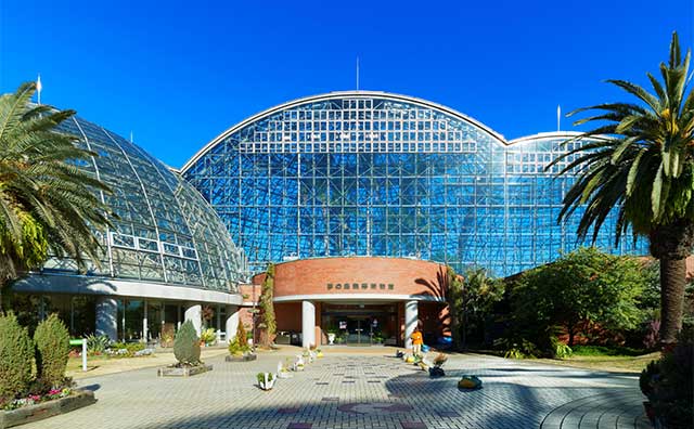 夢の島熱帯植物館