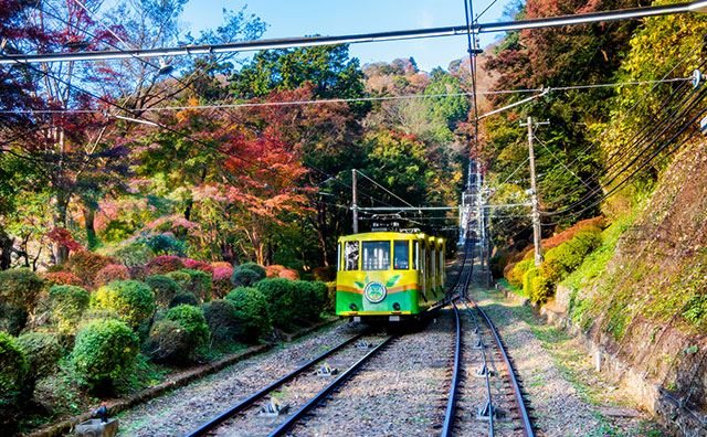 紅葉の高尾山を登るケーブルカー