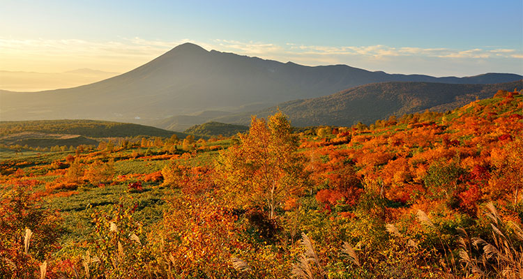 【地域別】紅葉も登山も楽しめるおすすめの山17選！見頃も紹介