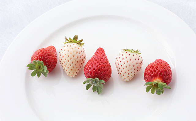 さまざまな品種の食べ比べ（イメージ）