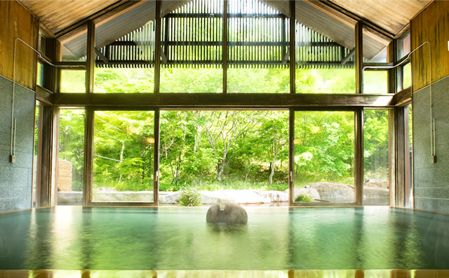 星野温泉 トンボの湯