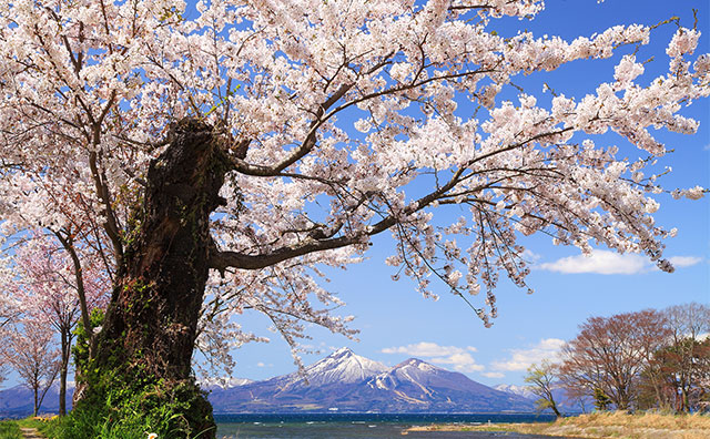 盤梯山