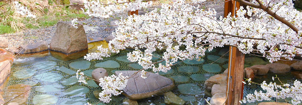 温泉とお花見を一緒に楽しめる温泉施設を紹介