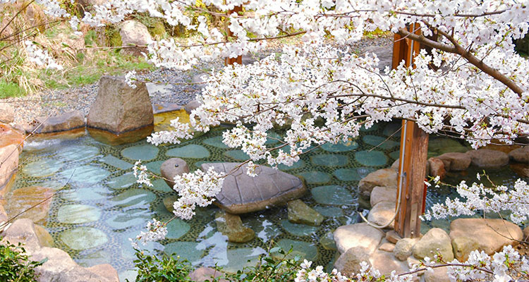 温泉とお花見を一緒に楽しめる温泉施設を紹介