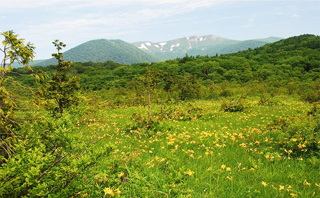 世界谷地原生花園