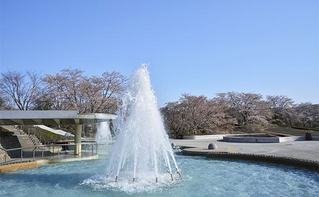 国営みちのく杜の湖畔公園