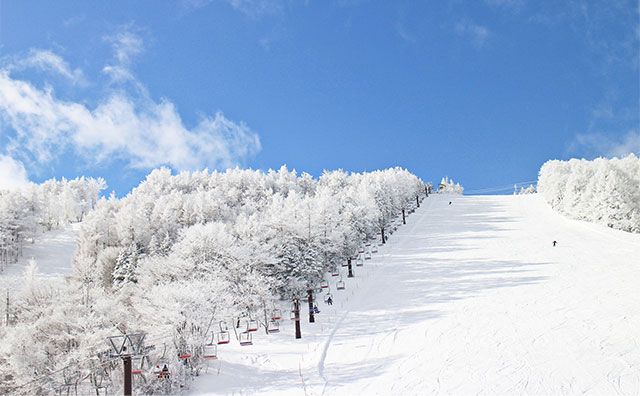 いつからが春スキー？