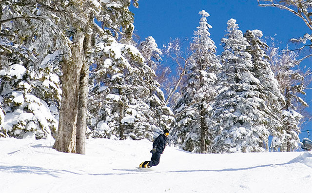 グランデコスノーリゾート