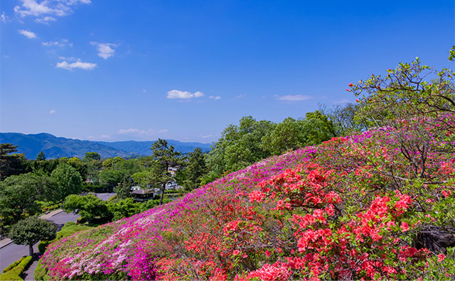 小室山