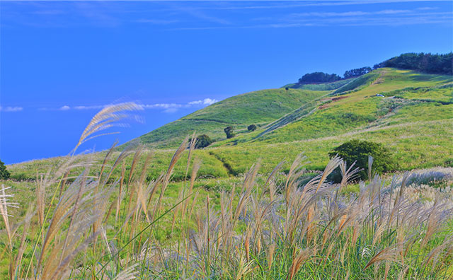 細野高原