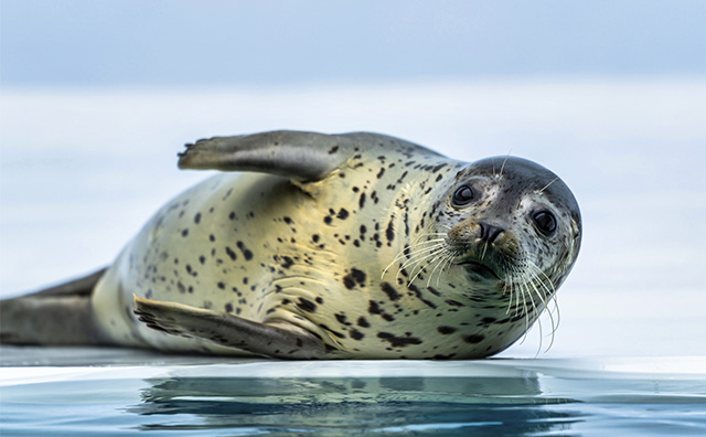 加茂水族館