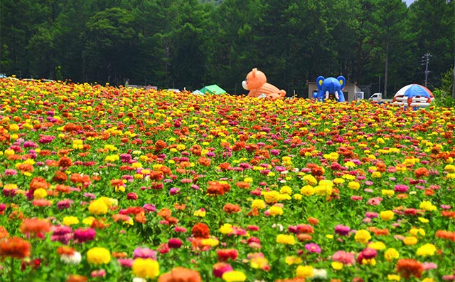 富士見高原リゾート 花の里