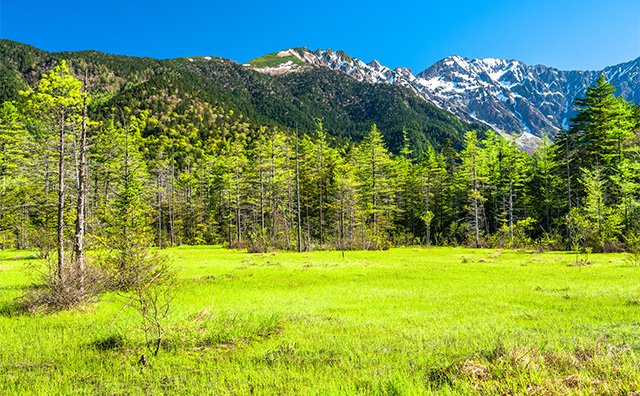 田代湿原