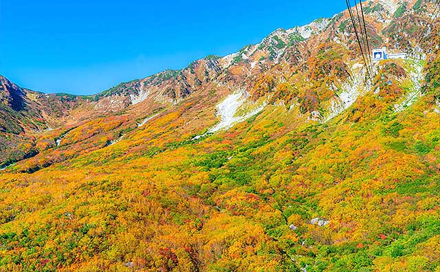 大観峰