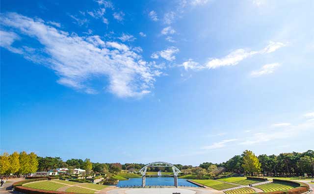 ひたち海浜公園の概要