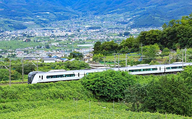 山梨でぶどう狩りをするなら勝沼がおすすめ