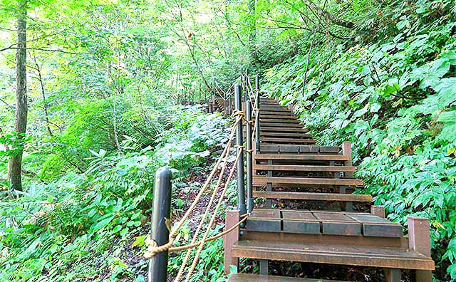 白神山地のおすすめのスポットを紹介