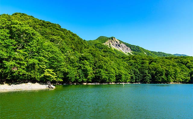 鶏頭場の池