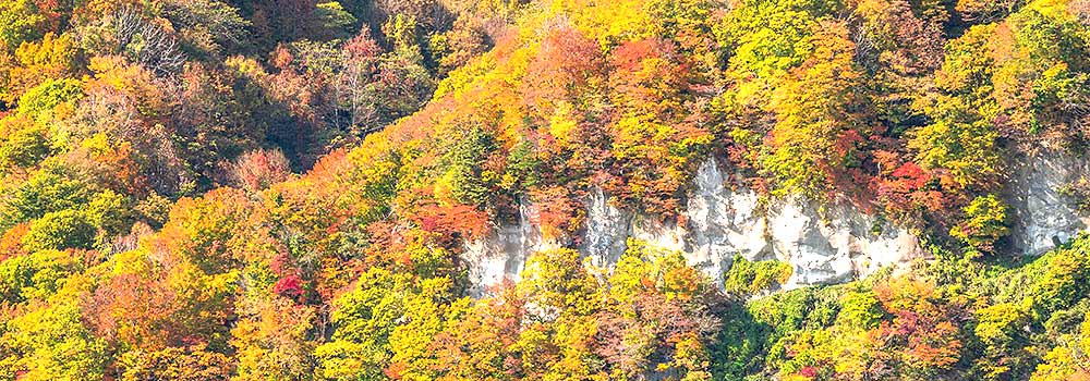 白神山地へ観光に行くならここ！知っておきたいおすすめのスポットを紹介