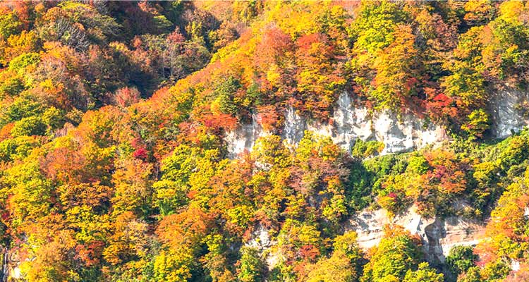白神山地へ観光に行くならここ！知っておきたいおすすめのスポットを紹介
