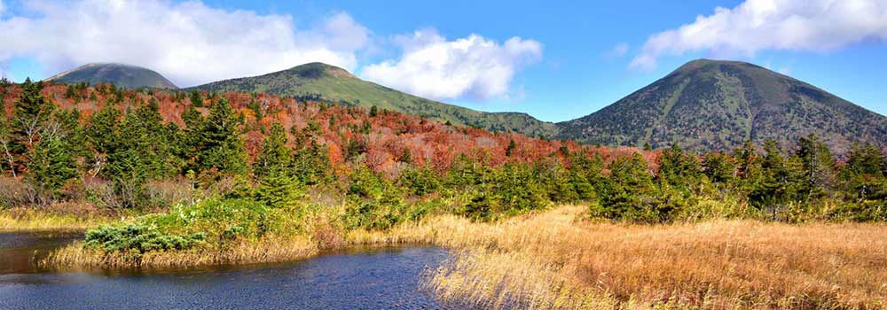 青森の紅葉スポットには新幹線で行こう！大自然の迫力ある名所を紹介