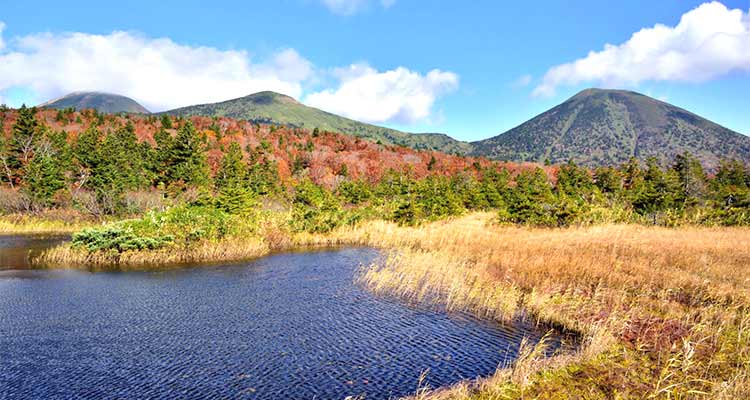 青森の紅葉スポットには新幹線で行こう！大自然の迫力ある名所を紹介