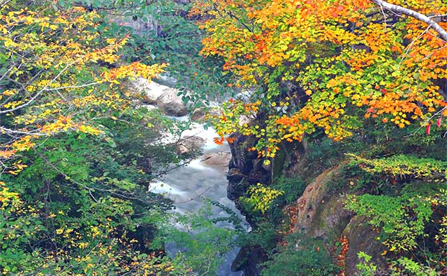 地元の方に愛される紅葉の名所「磊々峡」