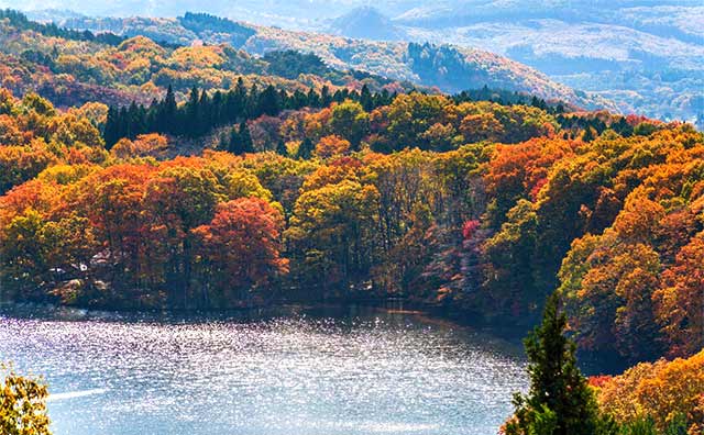 静かに落ち着いて紅葉を楽しめる「長老湖」