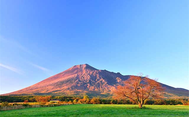 道路沿いのきれいな紅葉が楽しめる「八幡平」
