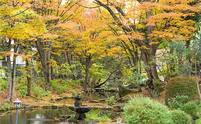 歴史ある雰囲気とともに紅色のモミジやカエデを味わえる「盛岡城跡公園」