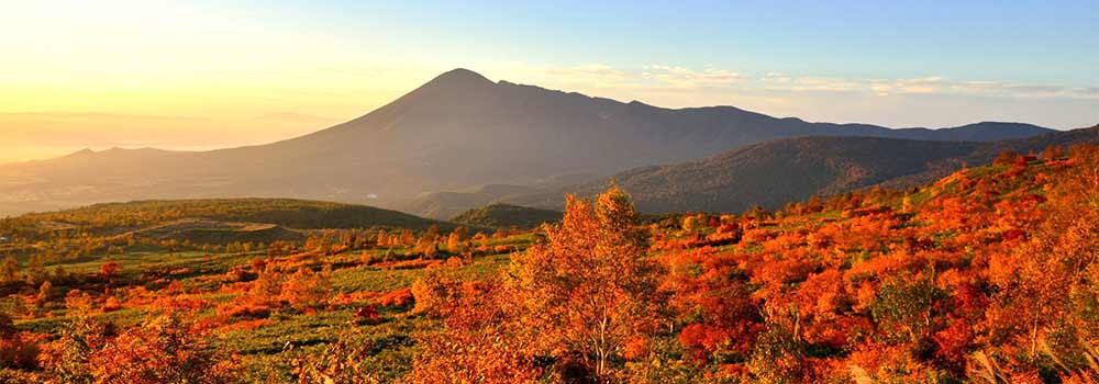 岩手の紅葉スポットには新幹線で行こう！秋がもっと楽しくなるおすすめの場所を紹介