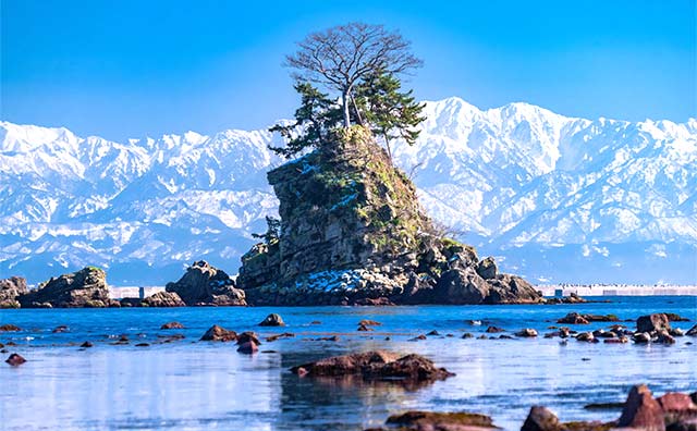 北陸の冬の絶景を紹介！ため息が出るほど幻想的な世界を楽しもう