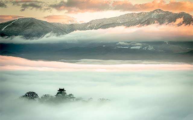 越前大野城