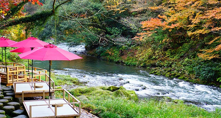 北陸の穴場温泉でくつろぎ時間を。豊かな自然に癒されて