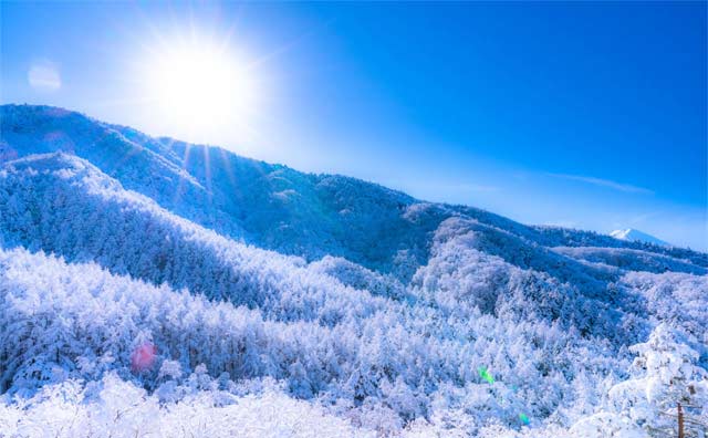 【甲信越】冬の絶景堪能スポットを厳選！雪化粧した景色にうっとり
