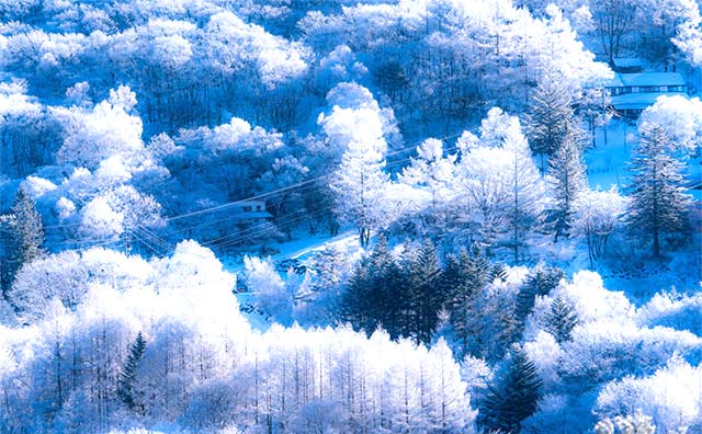 おすすめの甲信越の冬の絶景