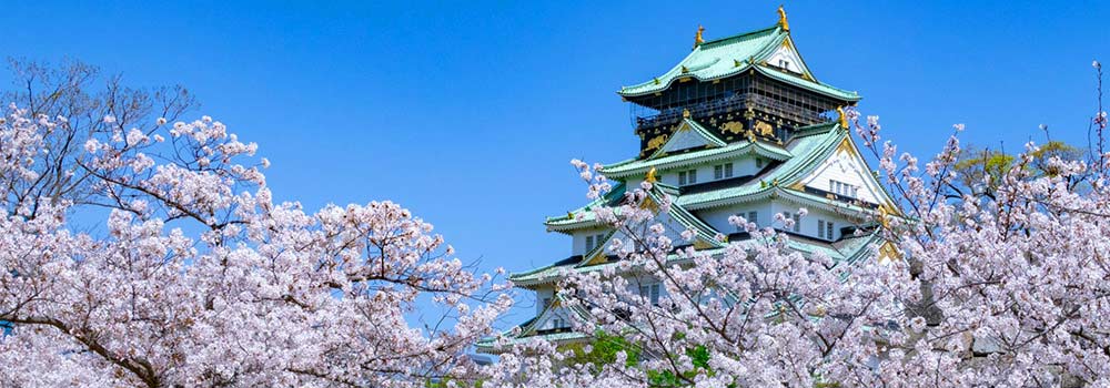 大阪の桜の名所が知りたい！春の風物詩は人気スポットとセットで楽しもう