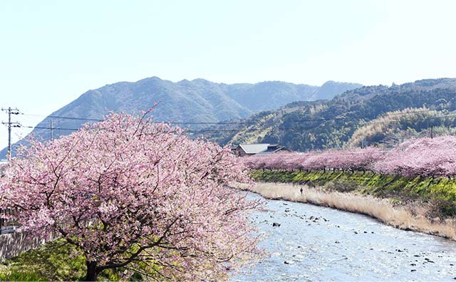 かわづいでゆ橋