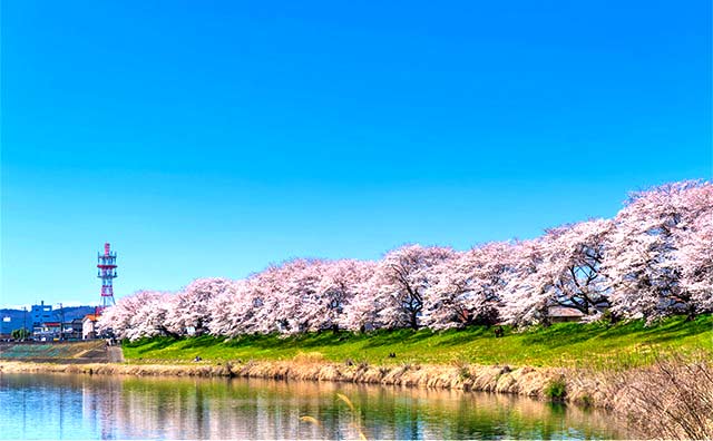 白石川