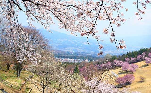 伊香保グリーン牧場