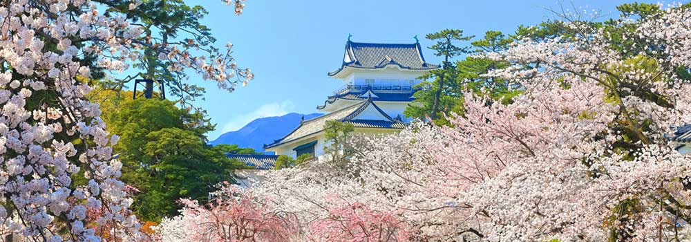 【関東】桜の便りが届いたら…訪れてみたい名所をピックアップ